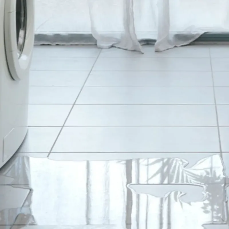 Appliance Leak Cleanup in Palm Coast, FL